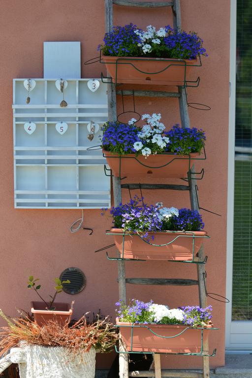 Il Torchio Guest house